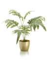 Искусственное растение Phlebodium bush / Папоротник Флебодиум H67cm NKoop EEG