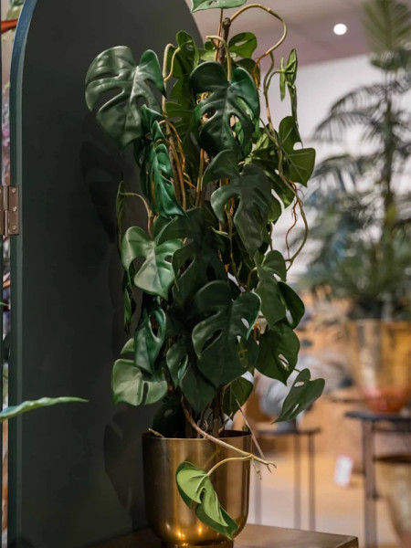Artificial Plant Monstera H75cm NKoop EEG