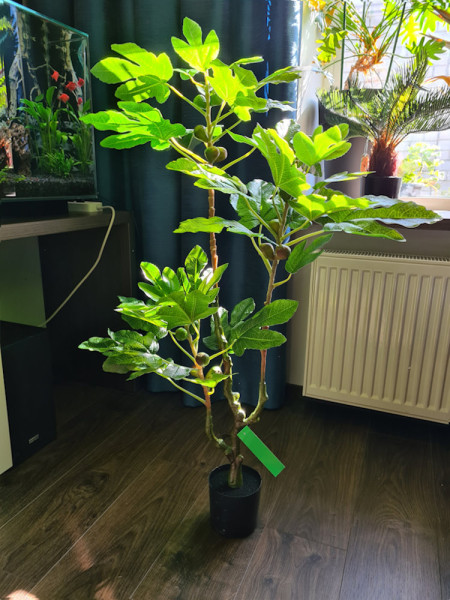 Искусственное инжирное дерево H95cm NKoop EEG