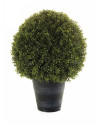 Искусственное растение Boxwood Ball / Самшит шарообразный H53cm NKoop EEG