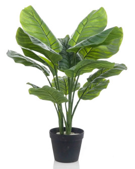 Искусственное растение Calathea Orbifolia /  Калатея Орбифолия H70cm