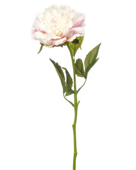 Artificial flower Peony spray White-Pink H56cm