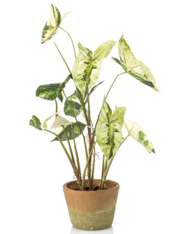 Искусственное растение Caladium Green-White / Каладиум H60cm