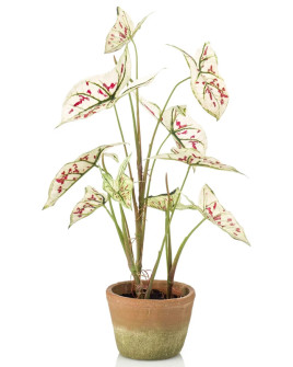 Искусственное растение Caladium Cream-Red / Каладиум H60cm