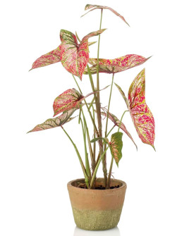 Искусственное растение Caladium Red-Green / Каладиум H60cm