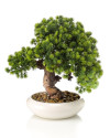 Искусственное растение Cryptomeria japonica Bonsai / Криптомерия японская Бонсай H37cm NKoop EEG