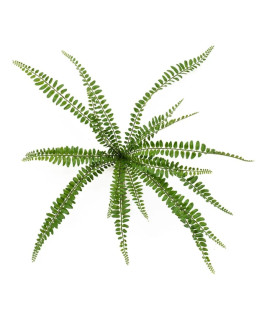 Искусственное растение Fern Biophytum Bush / Папоротник Биофитум H40cm
