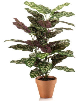 Искусственное растение Calathea bush / Калатея куст H60cm