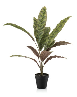 Искусственное растение Calathea bush green-burgundy / Калатея куст H60cm