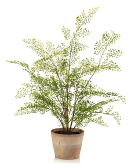 Искусственное растение Fern Adianthum / Папоротник Адиантум H65cm
