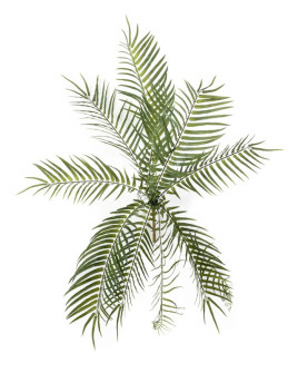 Искусственное растение Fish bone fern bush / Папоротник Рыбья кость H70cm