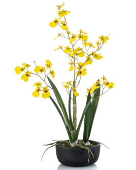 Artificial Plant Orchid Oncidium Yellow H58cm