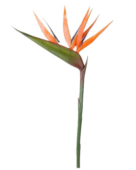 Artificial flower Strelitzia Orange H90cm