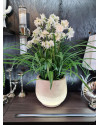 Artificial Plant Orchid Wild white H85cm NKoop FW