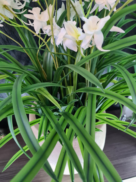 Artificial Plant Orchid Wild white H85cm NKoop FW