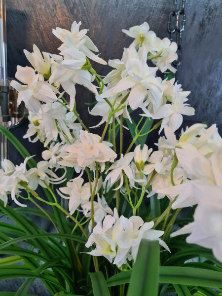 Artificial Plant Orchid Wild white H85cm NKoop FW