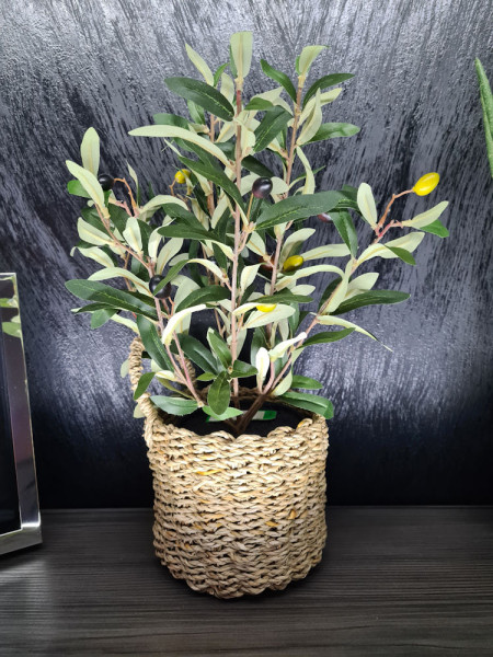 Искусственное оливковое дерево H44cm NKoop EEG