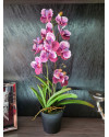 Artificial Plant Orchid Vanda pink H60cm NKoop EEG