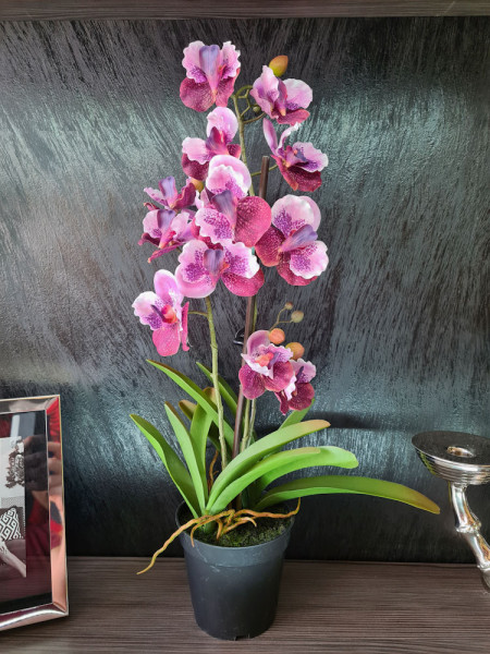 Artificial Plant Orchid Vanda pink H60cm NKoop EEG