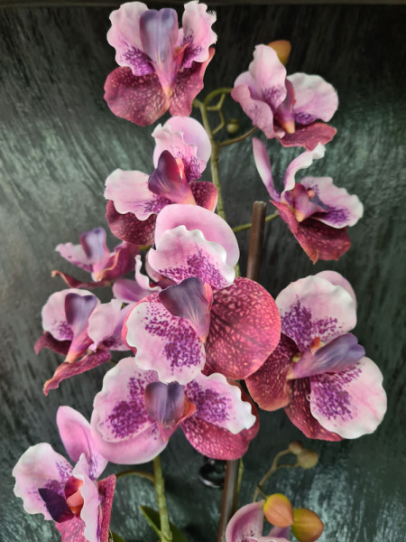Artificial Plant Orchid Vanda pink H60cm NKoop EEG
