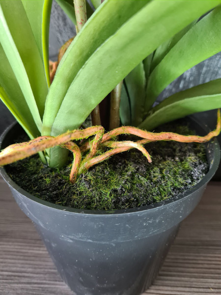 Artificial Plant Orchid Vanda pink H60cm NKoop EEG