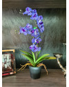 Artificial Plant Orchid Vanda Violet H60cm NKoop EEG