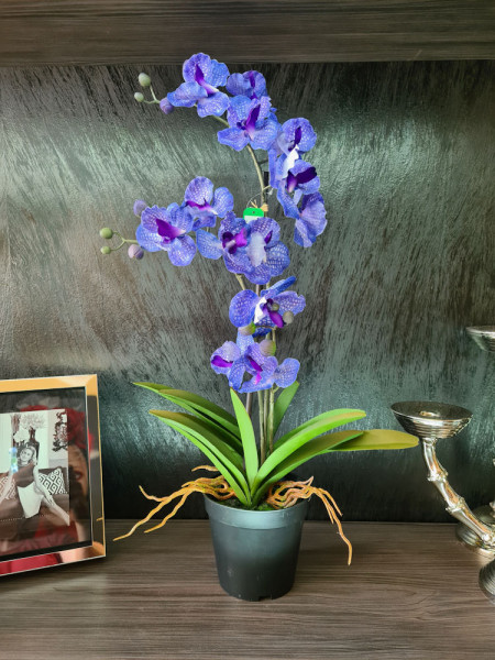 Artificial Plant Orchid Vanda Violet H60cm NKoop EEG