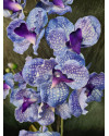 Artificial Plant Orchid Vanda Violet H60cm NKoop EEG