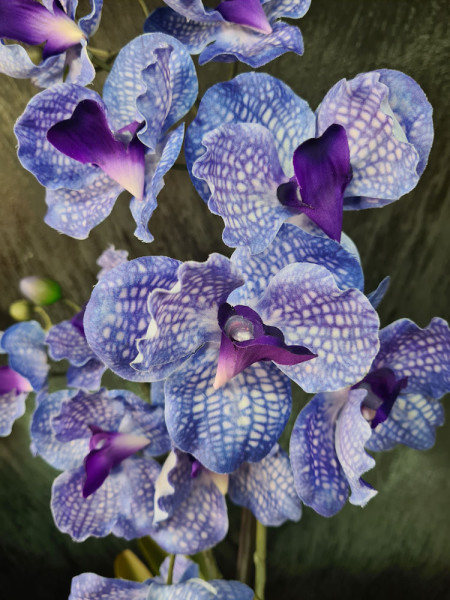 Artificial Plant Orchid Vanda Violet H60cm NKoop EEG