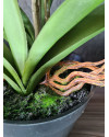 Artificial Plant Orchid Vanda Violet H60cm NKoop EEG