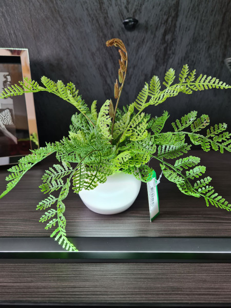 Искусственный папоротник лесной H20cm NKoop EEG
