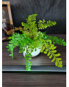Искусственный папоротник Адиантум H20cm NKoop EEG