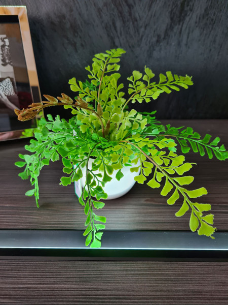 Искусственный папоротник Адиантум H20cm NKoop EEG