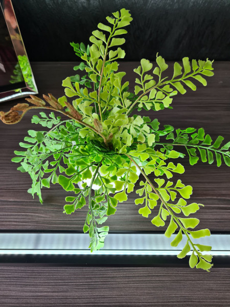 Искусственный папоротник Адиантум H20cm NKoop EEG