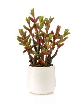 Искусственное растение Седум куст красно-зеленый H27cm