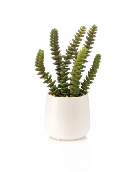 Искусственное растение Крассула куст H25cm