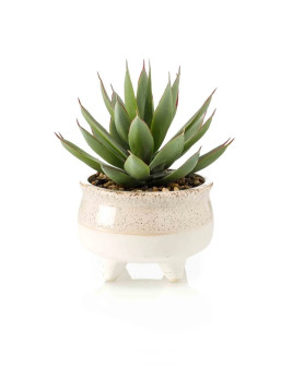 Искусственное растение Эхеверия куст зеленый H20cm