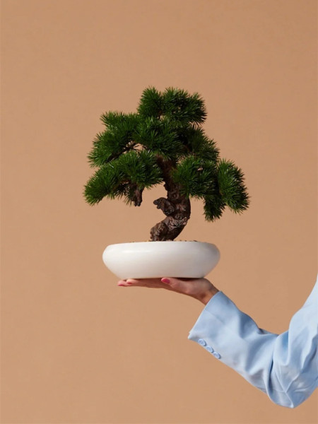 Искусственное растение Pinus Bonsai / Сосна Бонсай H37cm NKoop EEG