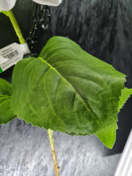 Artificial Plant Hydrangea XL White H90cm NKoop EEG