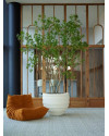 Искусственное растение Laurel Tree multi trunk / Лавровое дерево H285cm NKoop EEG