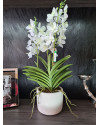 Artificial Plant Orchid Vanda White H60cm NKoop EEG