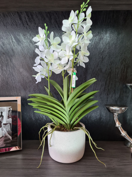 Artificial Plant Orchid Vanda White H60cm NKoop EEG
