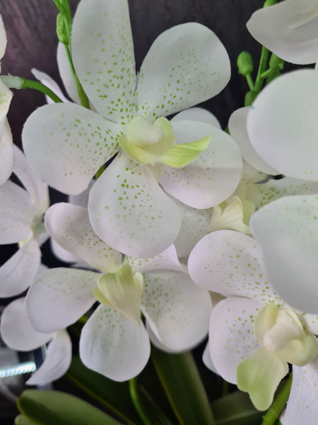 Artificial Plant Orchid Vanda White H60cm NKoop EEG