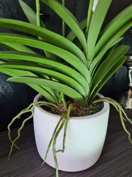 Artificial Plant Orchid Vanda White H60cm NKoop EEG