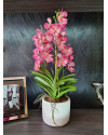 Artificial Plant Orchid Vanda Pink H60cm NKoop EEG