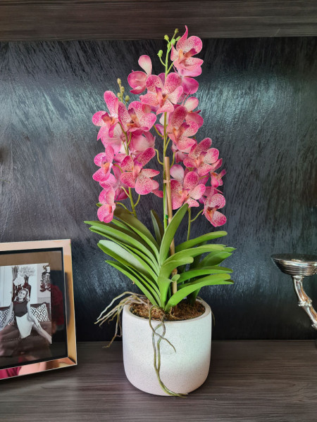 Artificial Plant Orchid Vanda Pink H60cm NKoop EEG