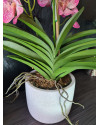 Artificial Plant Orchid Vanda Pink H60cm NKoop EEG