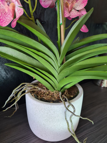 Artificial Plant Orchid Vanda Pink H60cm NKoop EEG