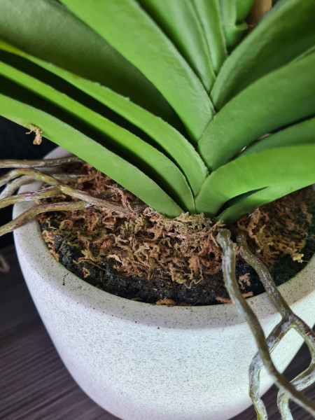 Artificial Plant Orchid Vanda Pink H60cm NKoop EEG
