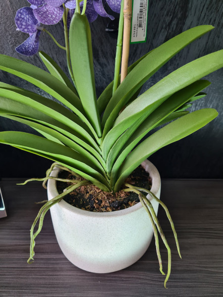 Artificial Plant Orchid Vanda Violet H60cm NKoop EEG